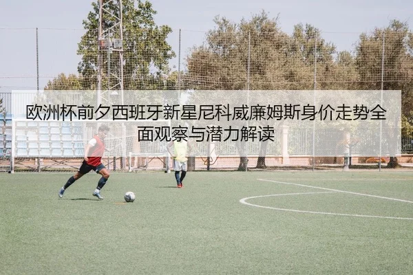 欧洲杯前夕西班牙新星尼科威廉姆斯身价走势全面观察与潜力解读 | kaiyun